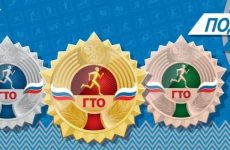 «Готов к труду и обороне»