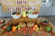 Дервиза в Веселовском Доме культуры